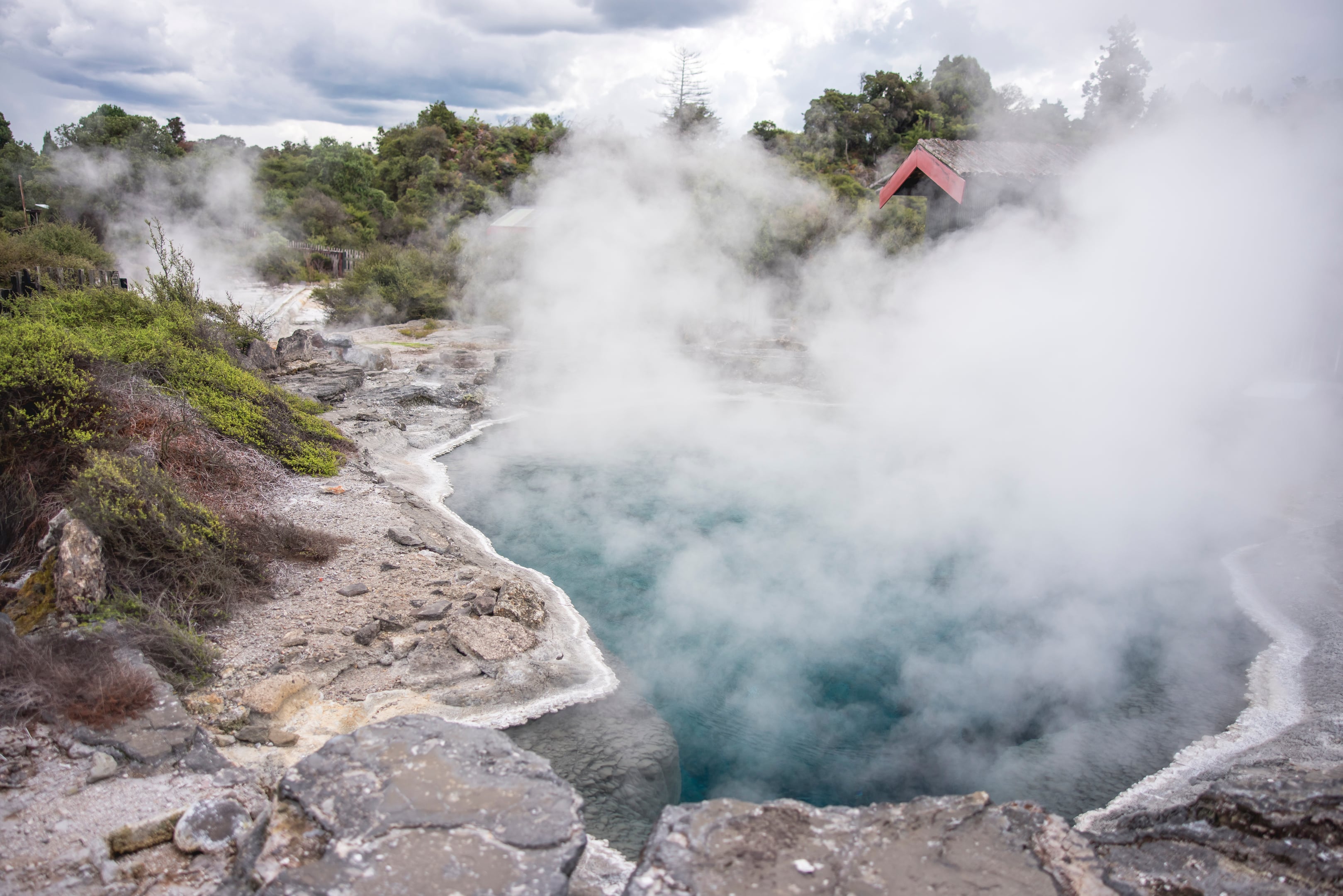 Rotorua, Bay of Plenty